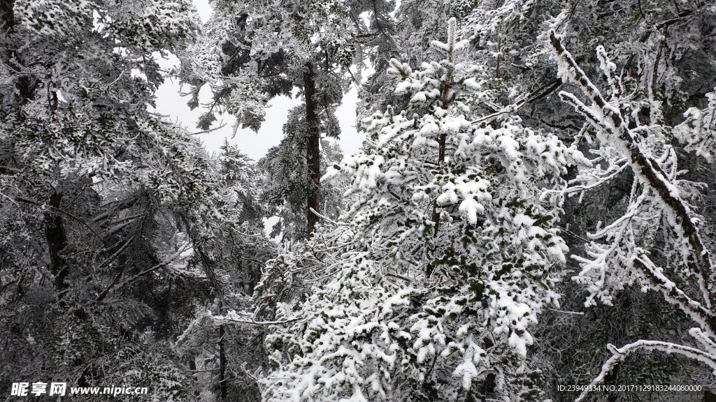 西岭雪山