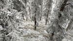 西岭雪山