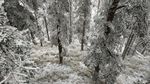 西岭雪山