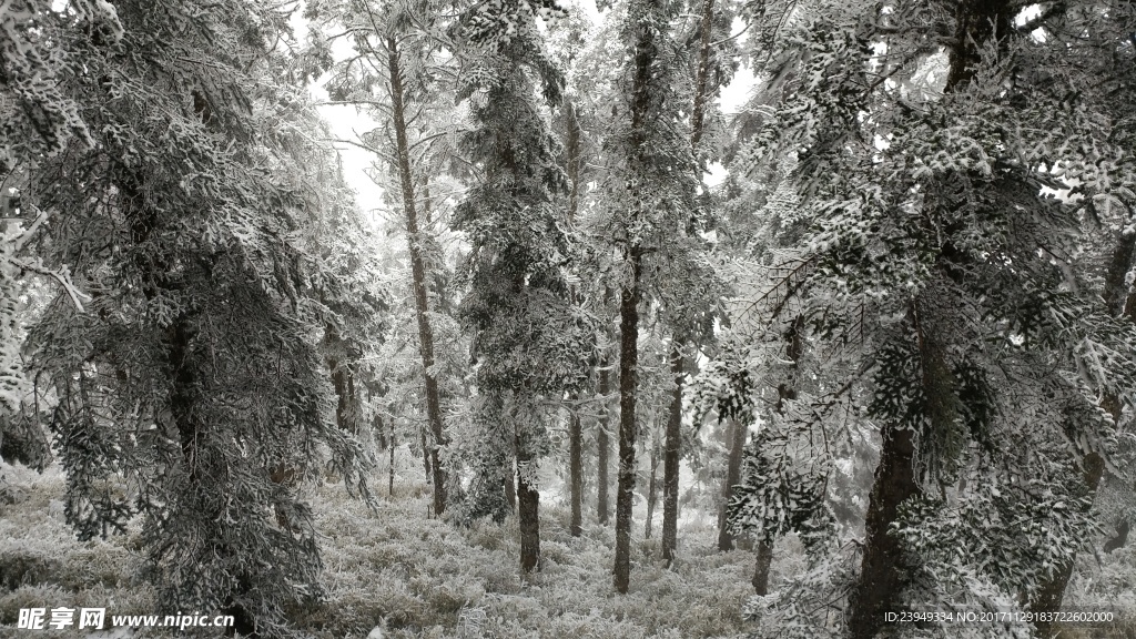 西岭雪山