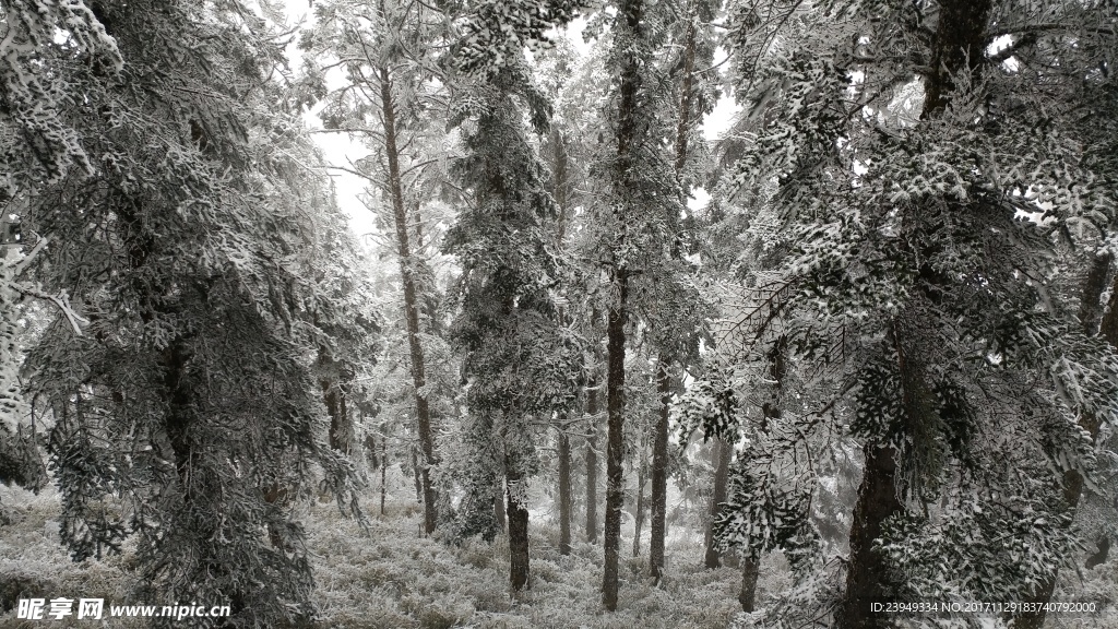 西岭雪山