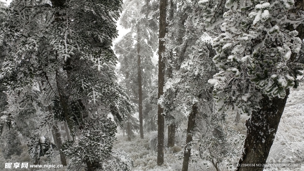 西岭雪山