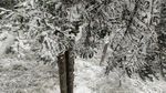 西岭雪山