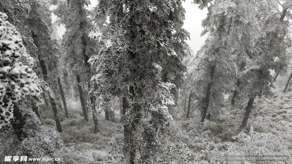 西岭雪山