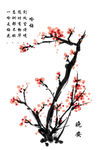 梅花