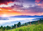 自然风景