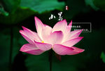 二十四节气