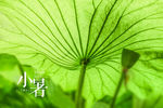 二十四节气