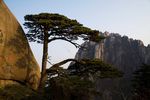 黄山