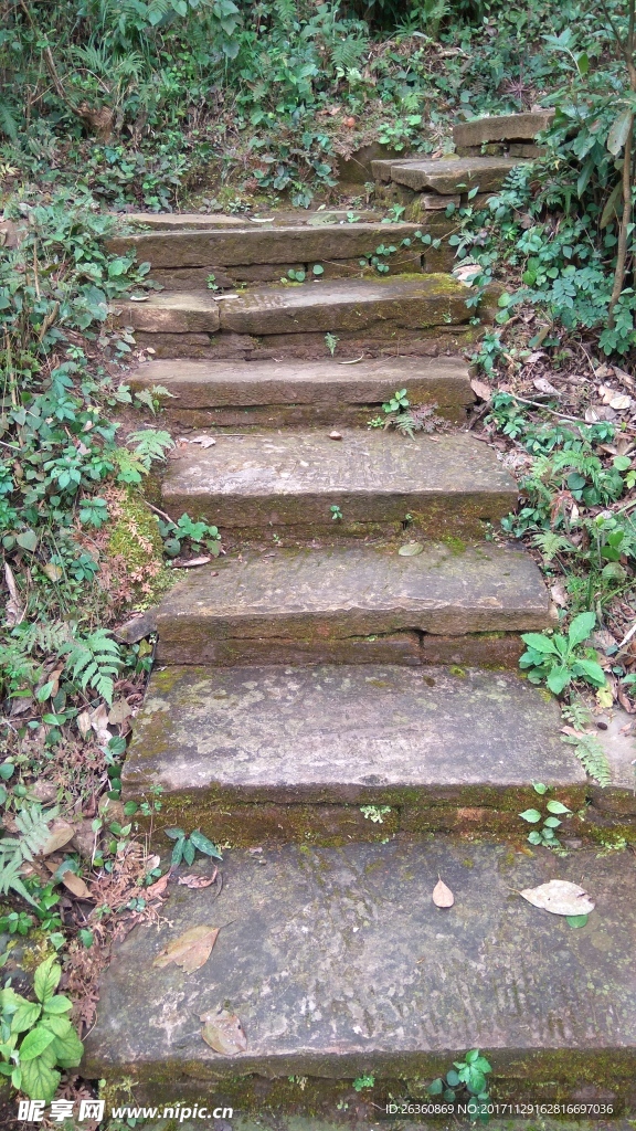 石板路