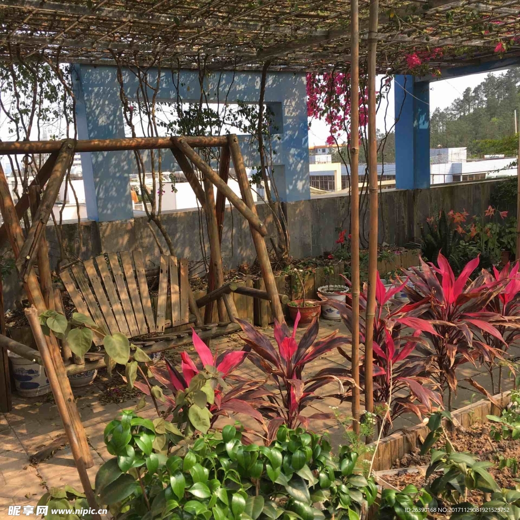 楼顶花园