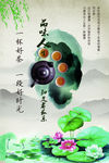 茶文化