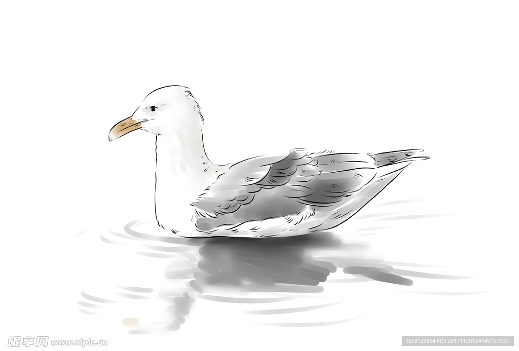 海鸥手绘素材
