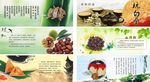 小吃