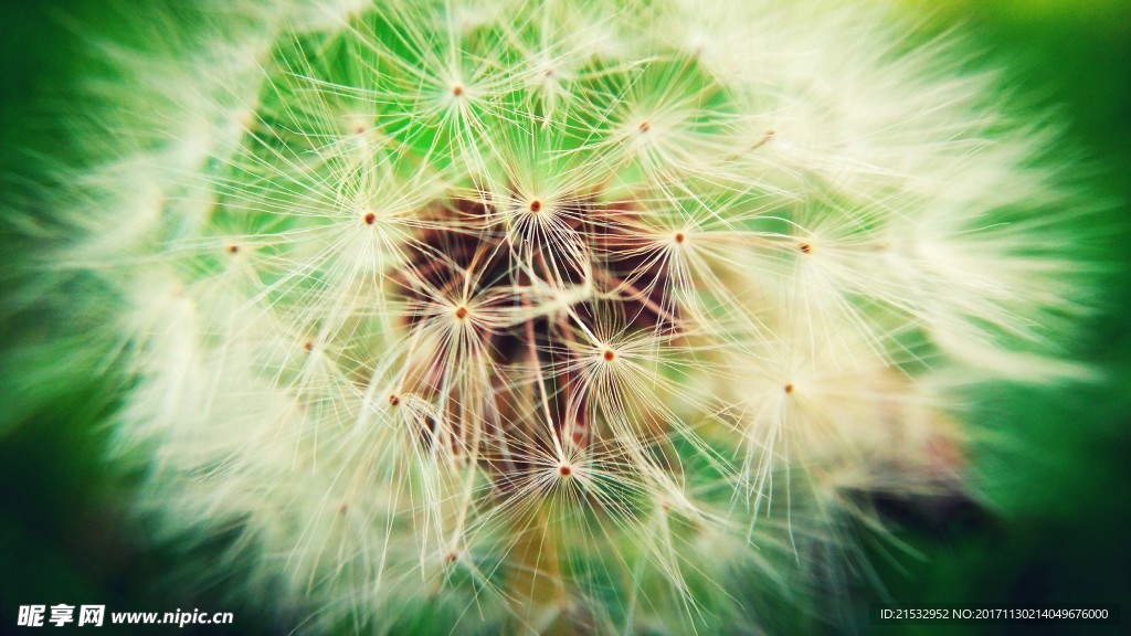 卡通背景素材