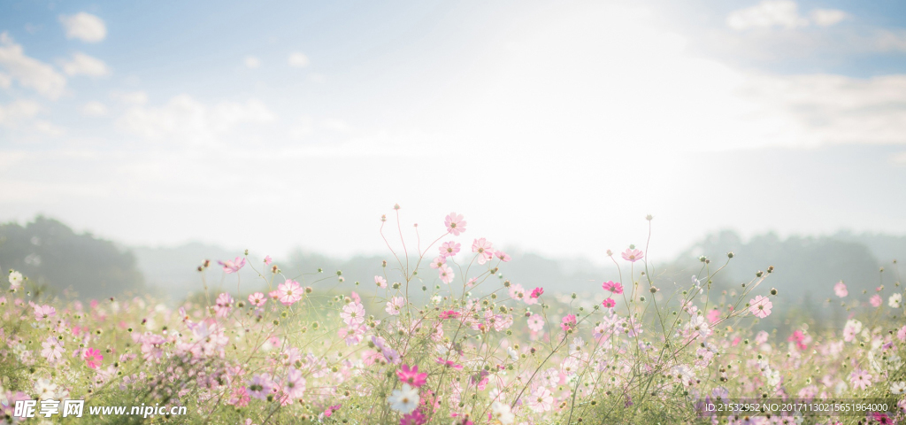 花模板下载