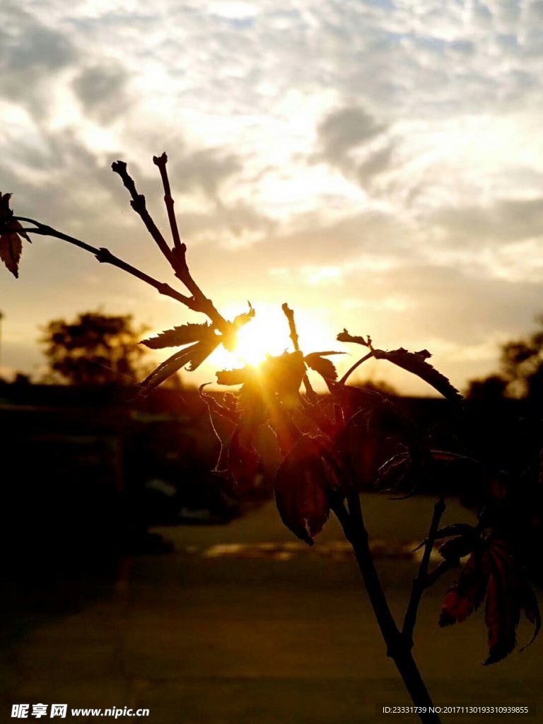 夕阳