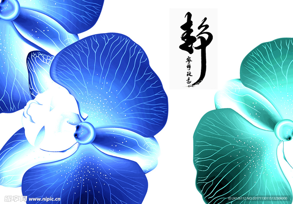 兰花