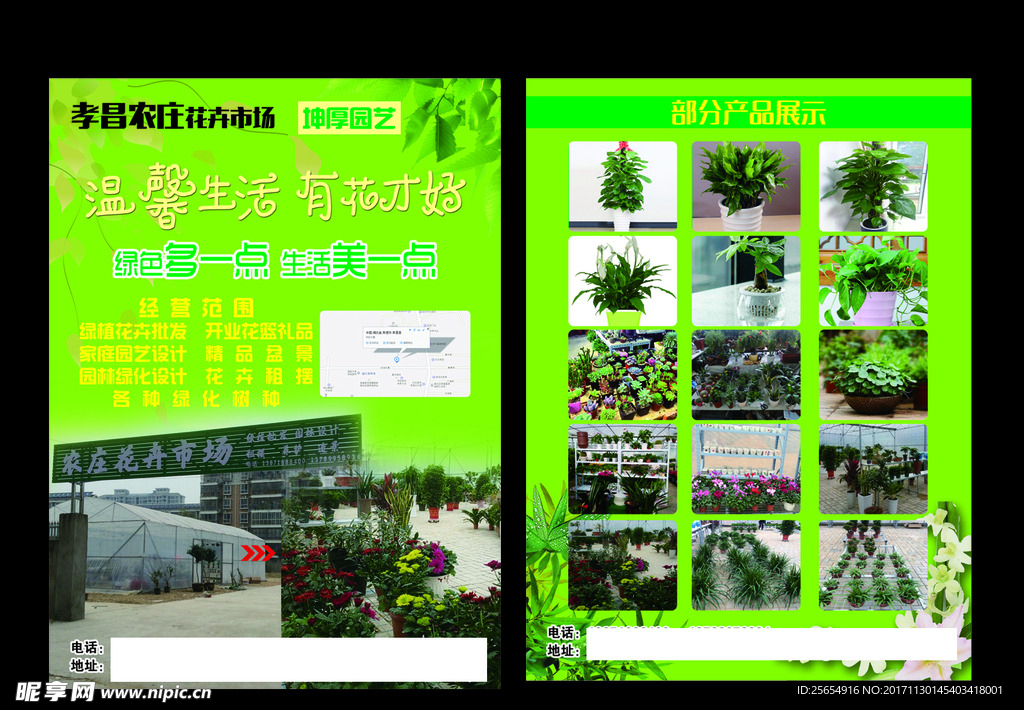 花卉市场盆栽
