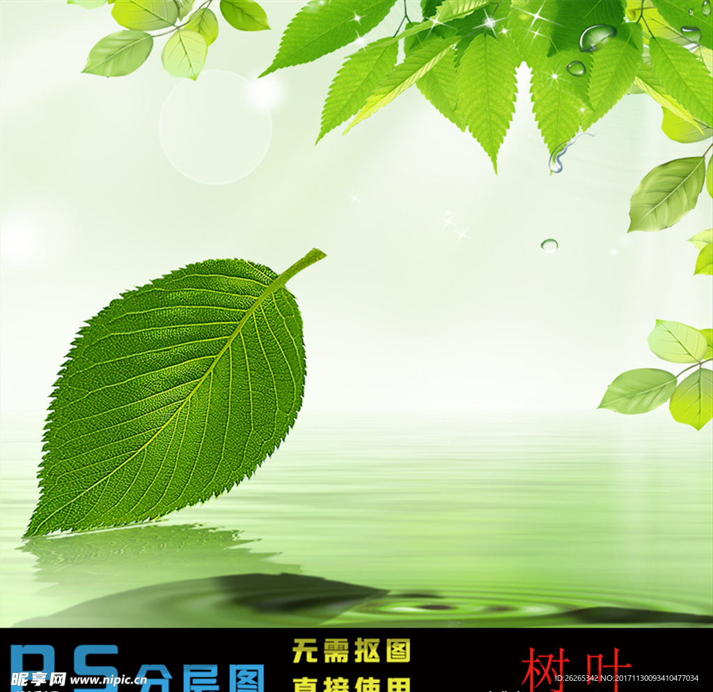 树叶