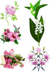 带叶花素材