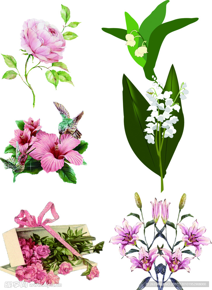 带叶花素材