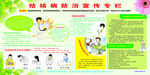 结核病防治宣传栏