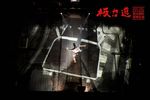 极力道