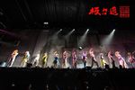 极力道