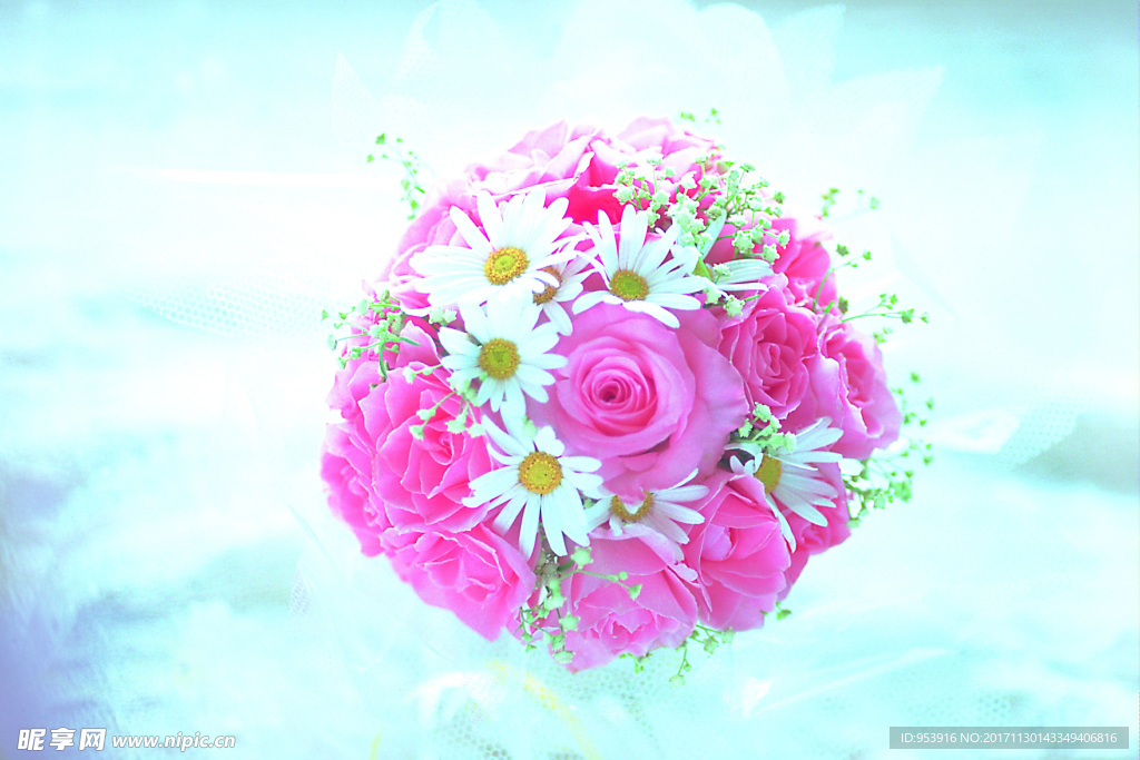 玫瑰花