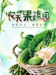 有机蔬菜  绿色健康