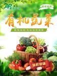 有机蔬菜  绿色健康