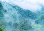 青山