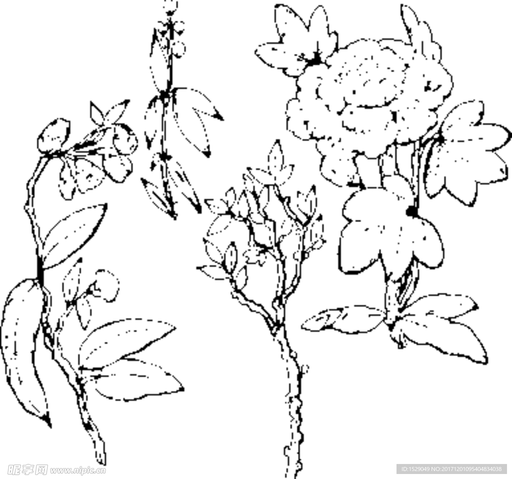 手绘淡彩花纹