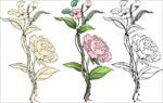 手绘淡彩花纹