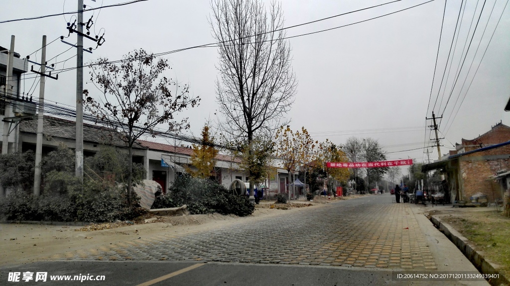 乡村道路风景