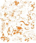 花纹