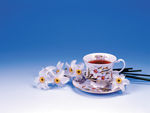 茶