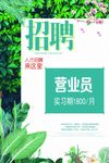 招聘海报  绿色背景