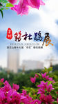 勒杜鹃展览会