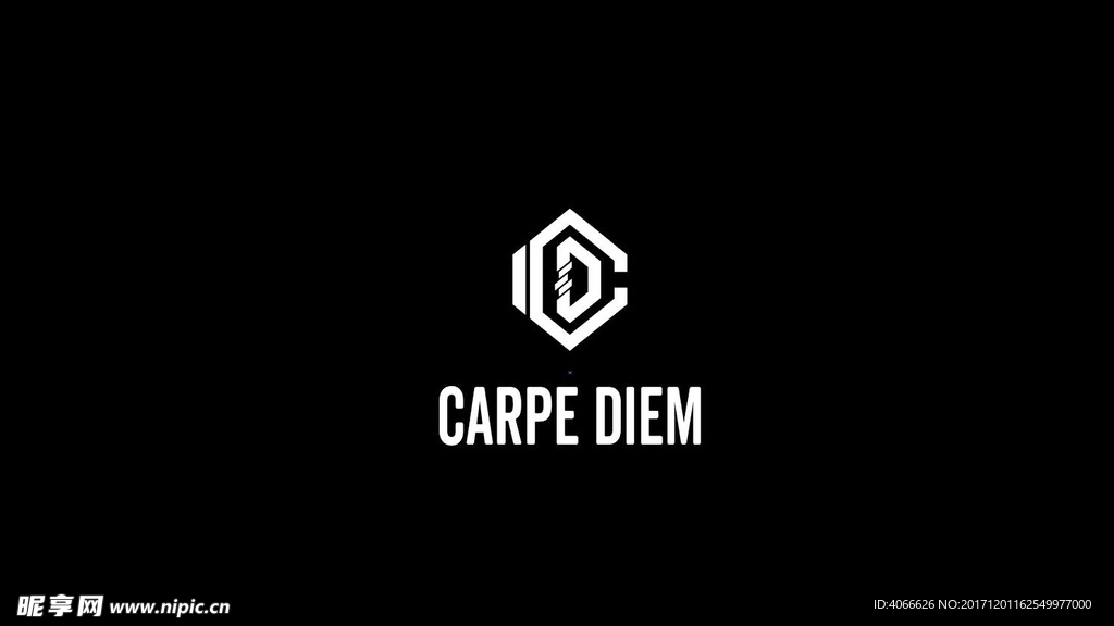 CARPE DIEM标志