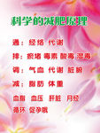 经络减肥海报