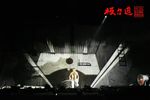 极力道