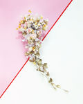 玫瑰花