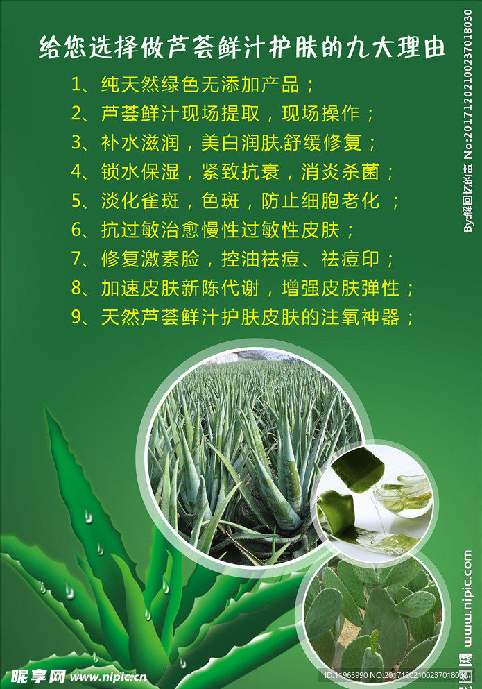 美容院芦荟海报