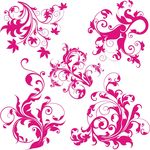 花纹