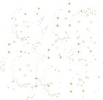 星光