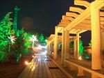夜色