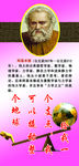 名人名言