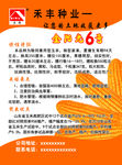禾丰种业宣传单